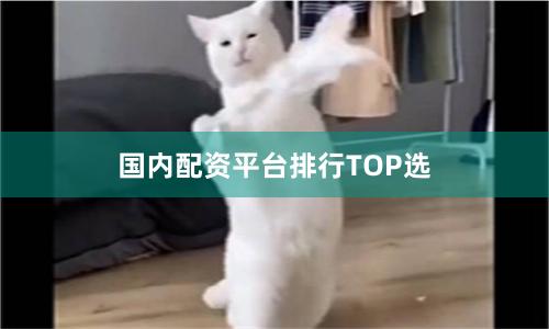 国内配资平台排行TOP选