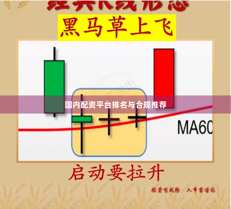 国内配资平台排名与合规推荐